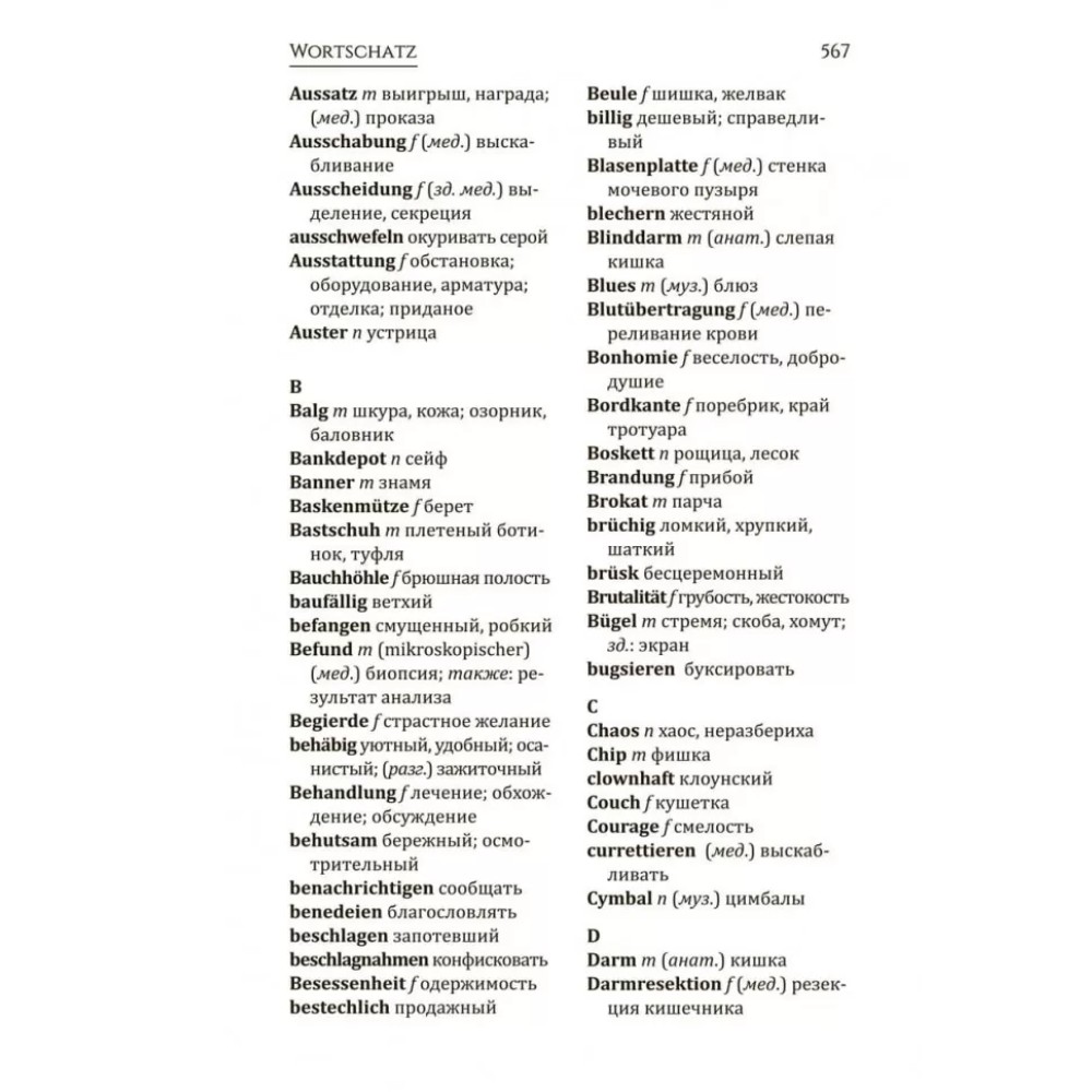 Книга "Триумфальная арка. Arc de Triomphe" (нем.яз.), Эрих Мария Ремарк - 8