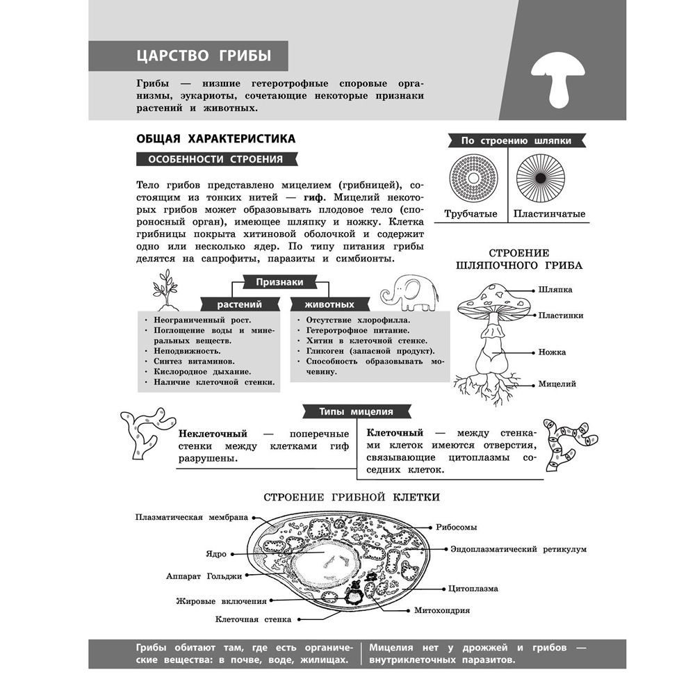Книга "Биология в инфографике", Оксана Мазур - 7