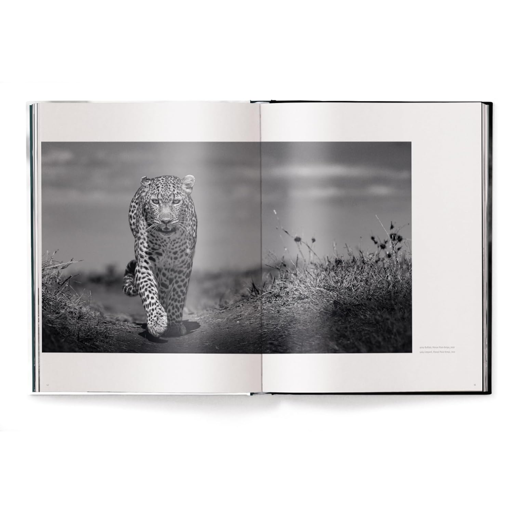 Книга на английском языке "Beusker. Look into my Eyes" HB, Lars Beusker