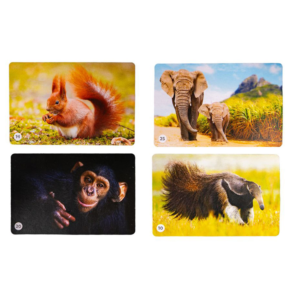 Игра настольная "МЕМО. Мир животных" - 4