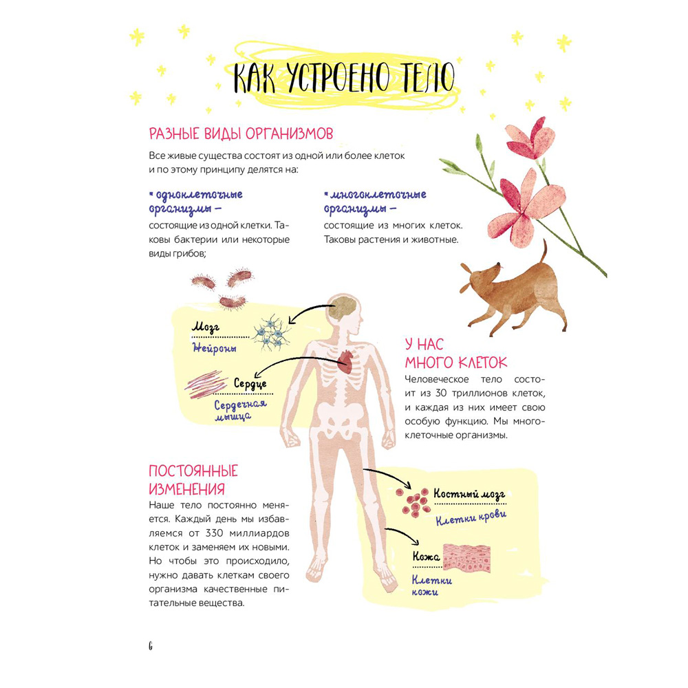 Книга "Еда: что и когда. Здоровые привычки для всей семьи", Гаэль Дюре - 5