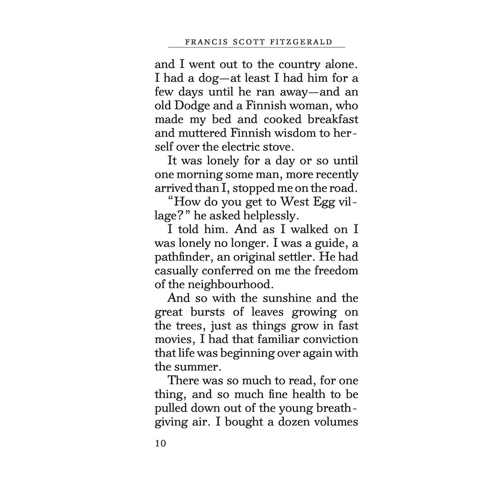 Книга на английском языке "The Great Gatsby", Фрэнсис Скотт Фицджеральд - 8