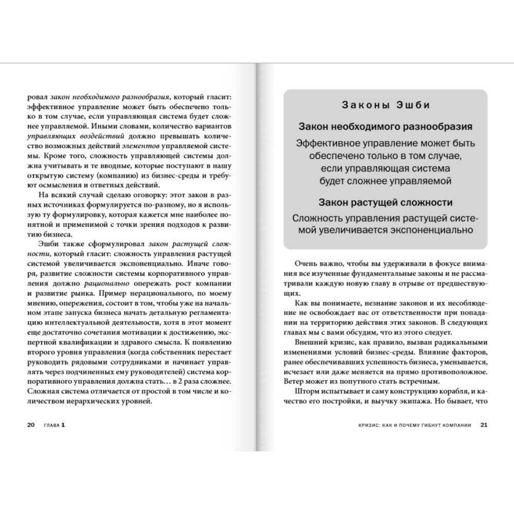 Книга "Управление компанией в условиях кризиса", Александр Фридман - 5