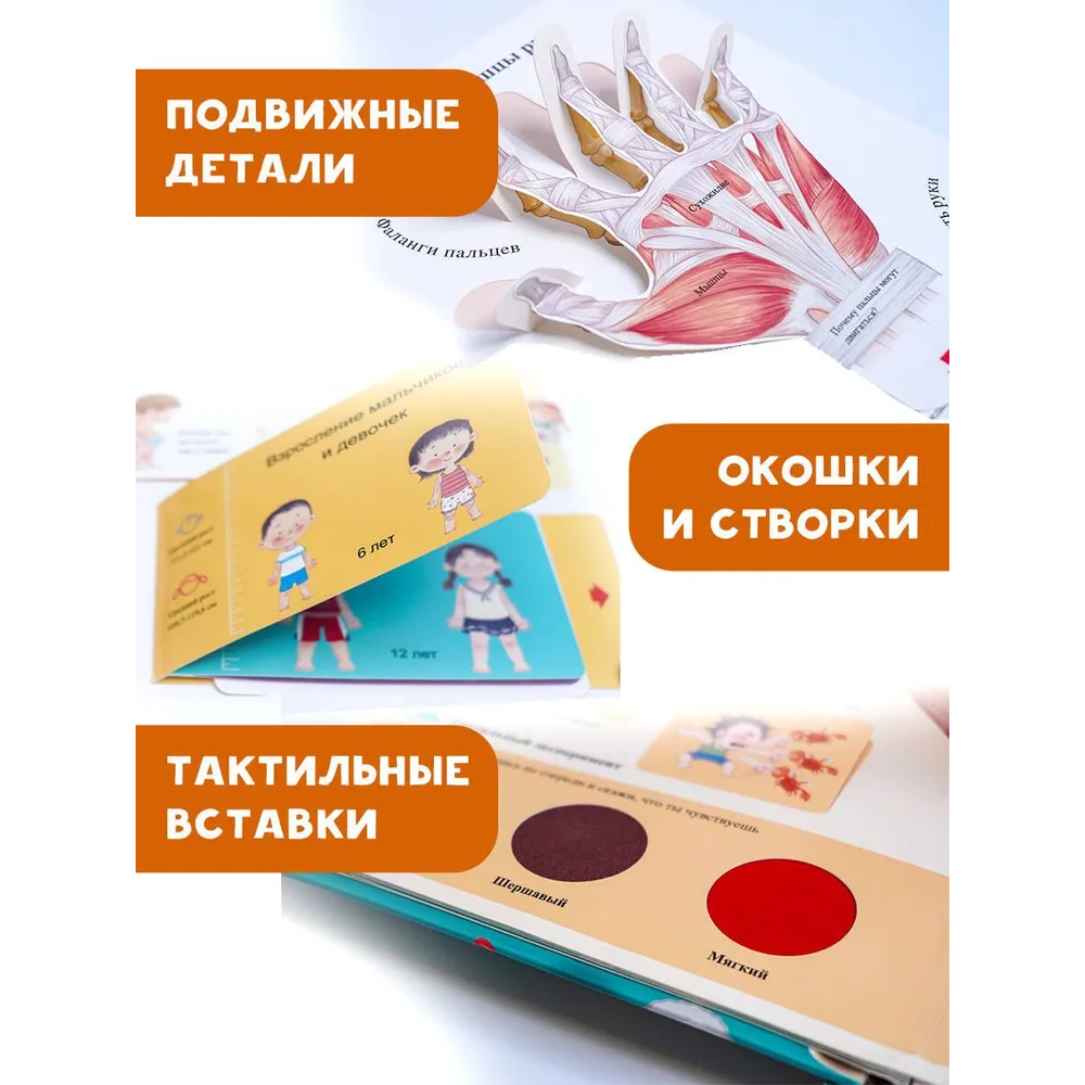 Книга "Все секреты человека", Марина Сушкова