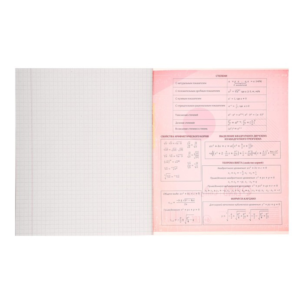 Тетрадь "Животные мемы. Алгебра", А5, 36 листов, клетка, разноцветный - 3