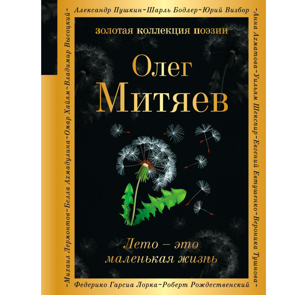 Книга "Лето - это маленькая жизнь", Олег Митяев