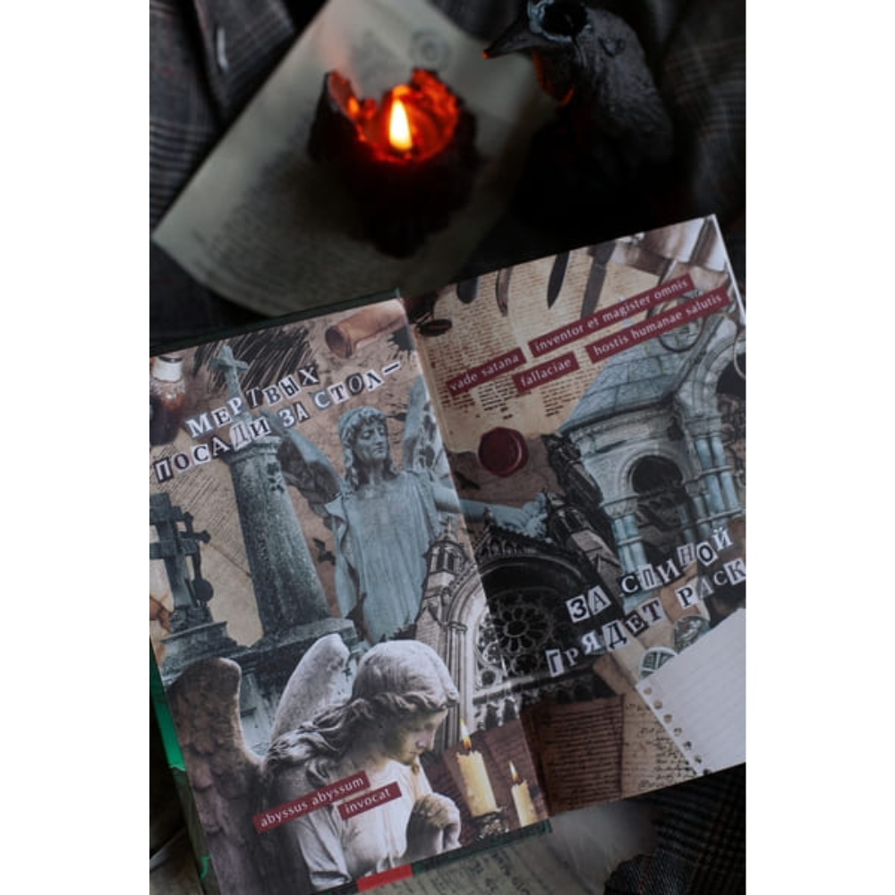 Книга "Общество забытых мучеников", Анви Рид