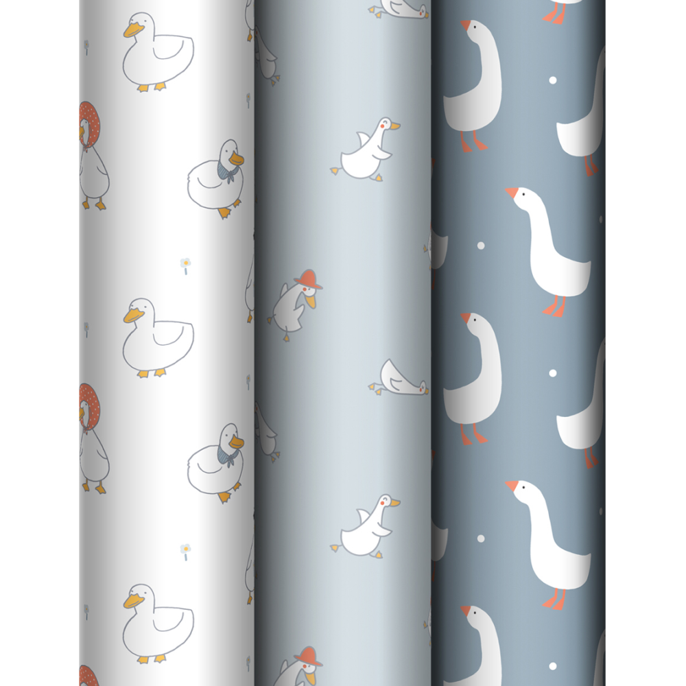 Бумага декоративная в рулоне "Goose set", 1х0.7 м, ассорти
