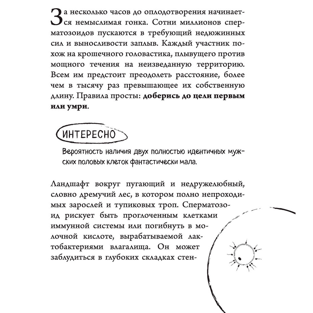  Книга "280 дней до вашего рождения. Репортаж о том, что вы забыли, находясь в эпицентре событий", Вестре К. - 8