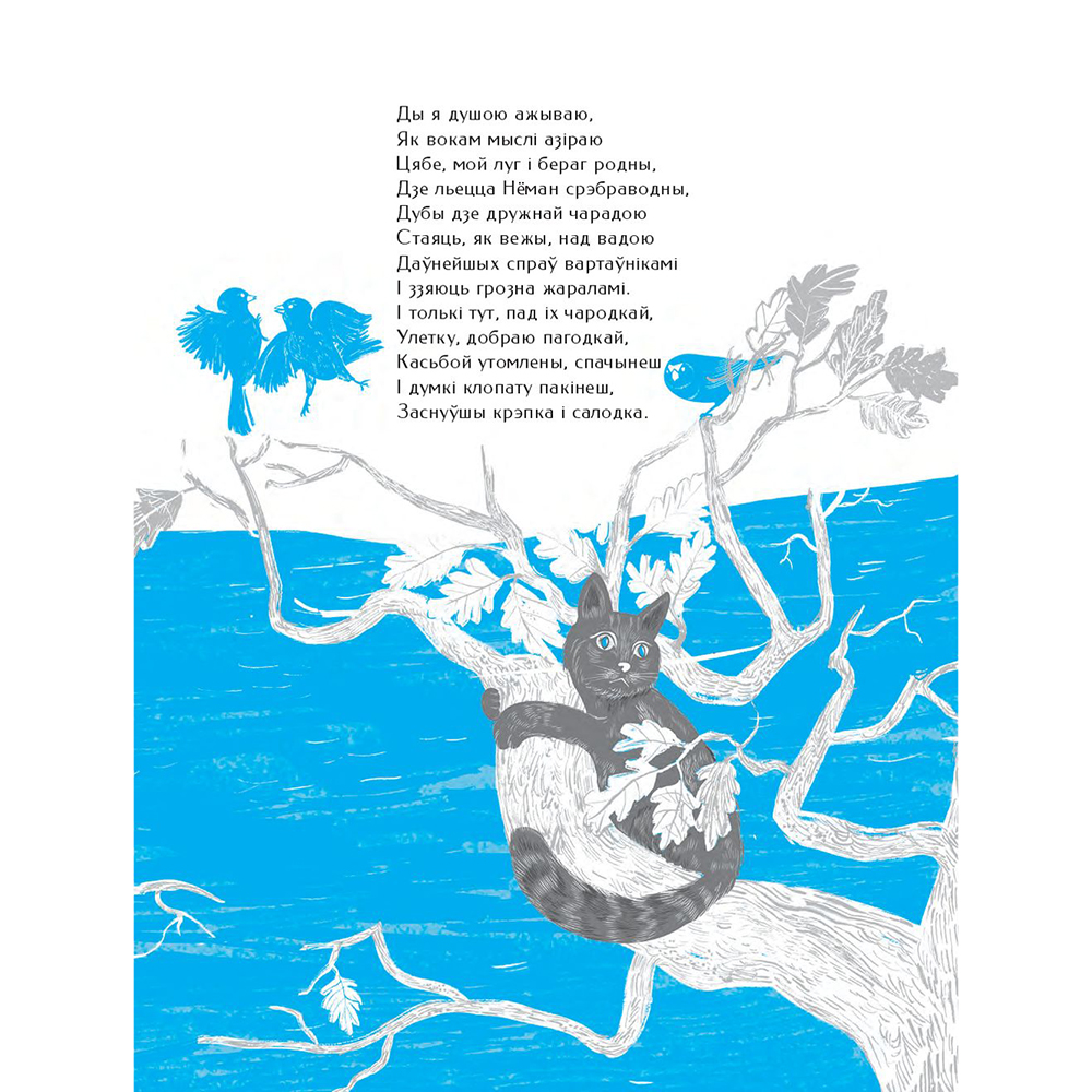 Книга "Новая зямля", Якуб Колас  - 9