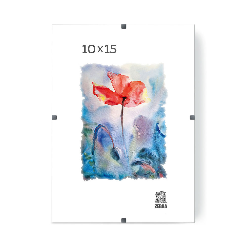 Фоторамка "ПКлип002130 Zebra", 30х40 см, клип, со стеклом, прозрачный