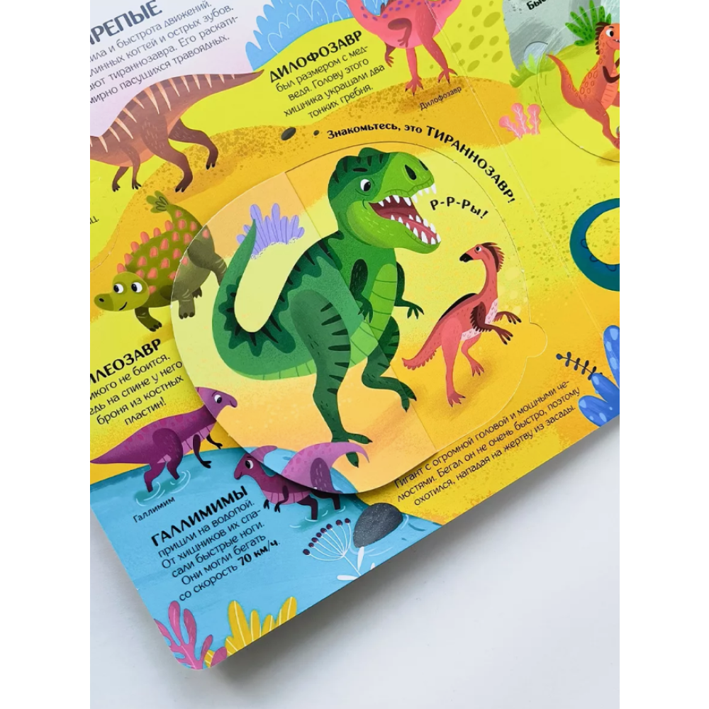 Книга "Книжка с окошками. Секреты динозавров" - 7