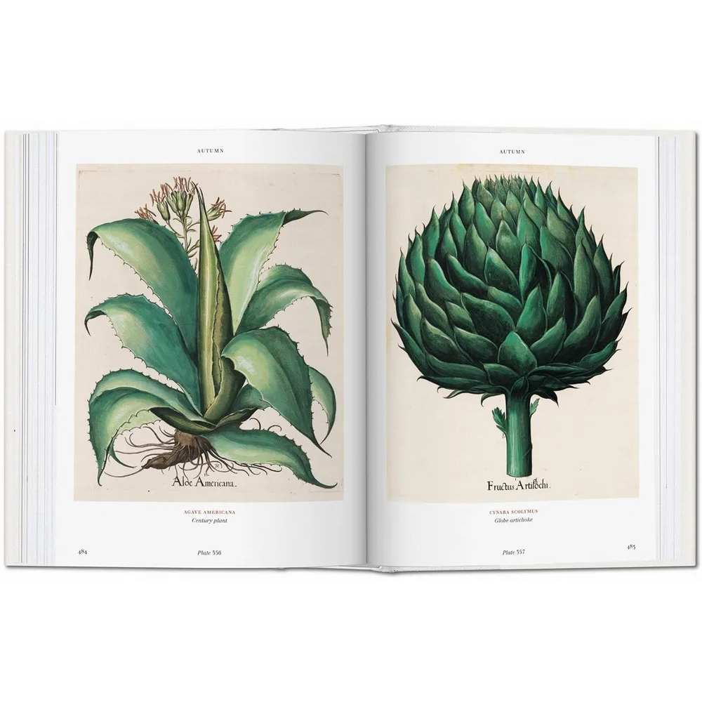 Книга на английском языке  "Florilegium. The Book of Plants. Garden at Eichstatt" 