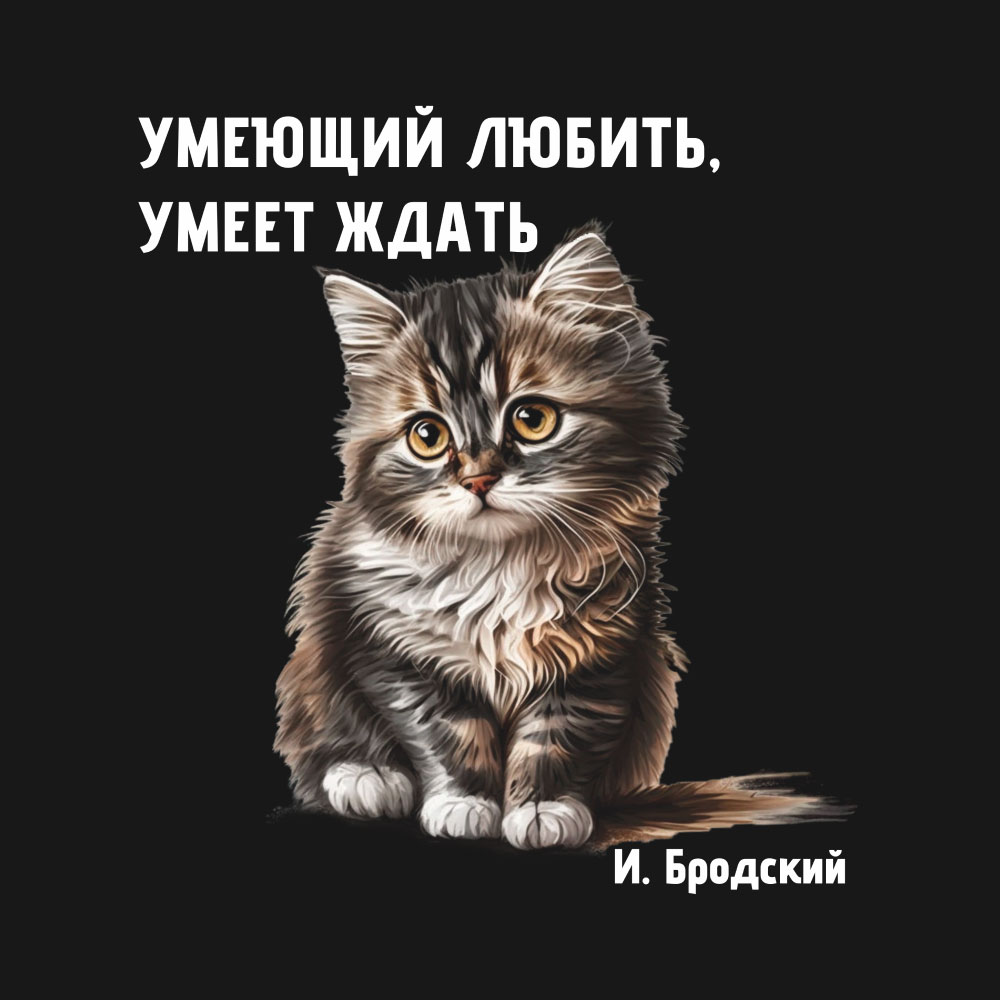 Футболка оверсайз унисекс "Умеющий любить, умеет ждать. Бродский", M-L, черный - 2
