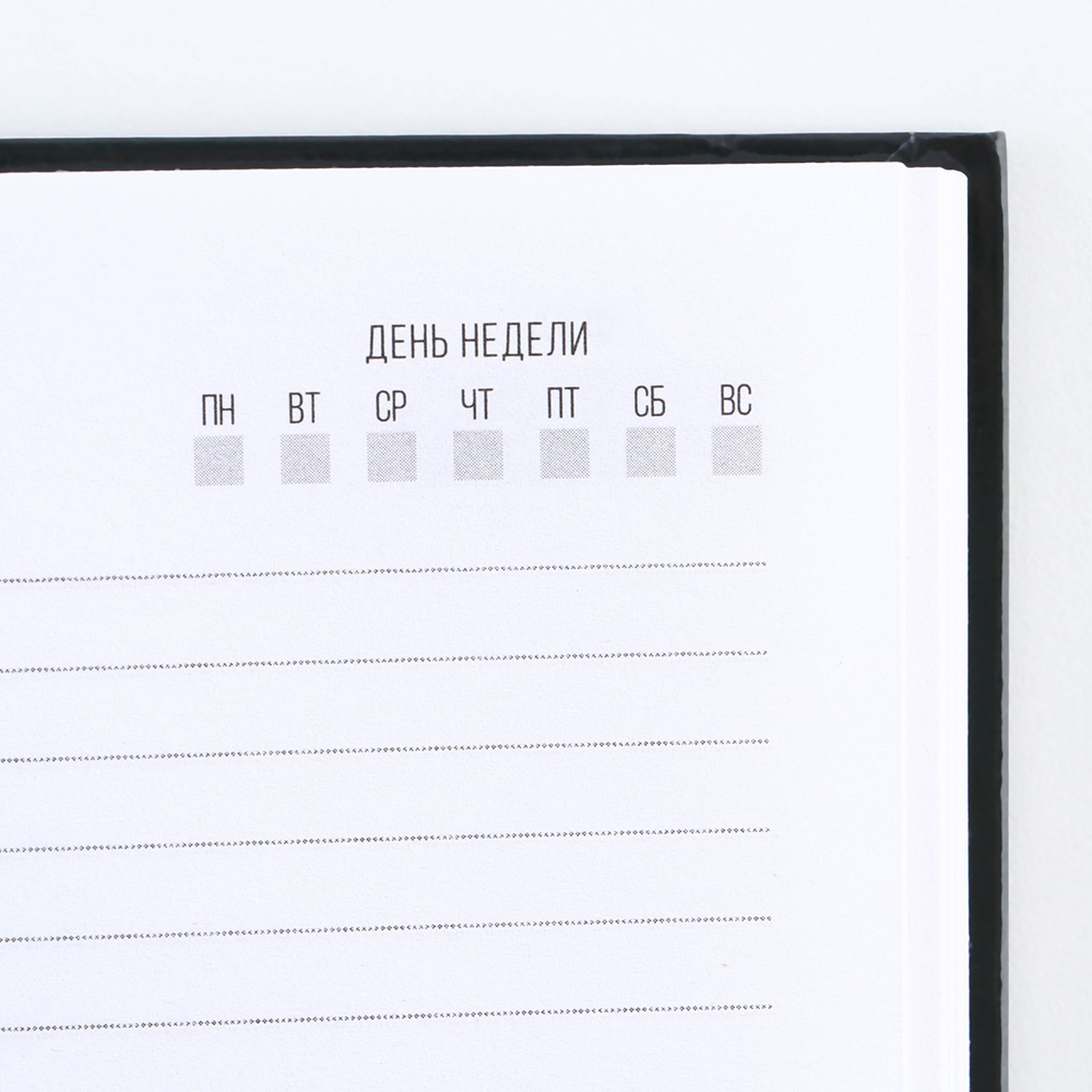 Ежедневник недатированный "Душнила", А5, 80 страниц, черный - 4