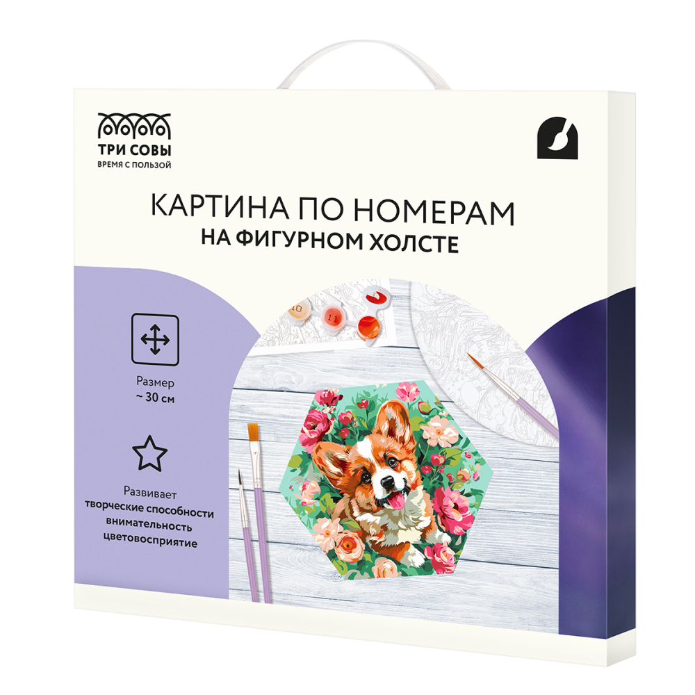 Набор для творчества "Корги в цветах", 30 см, красками по номерам