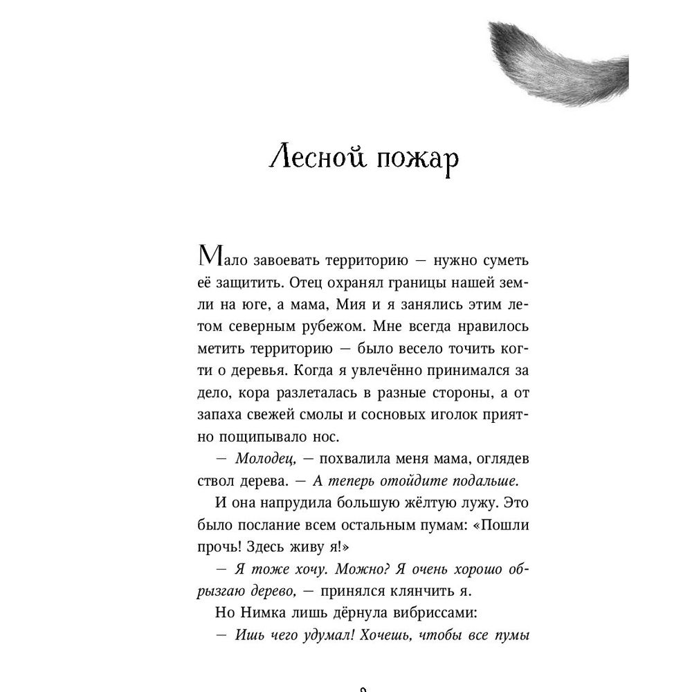 Книга "День огня (#6)", Катя Брандис - 4