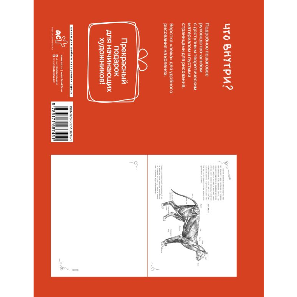 Книга "Анатомия для художников. Экспресс-курс + скетчбук", Walter Foster - 6