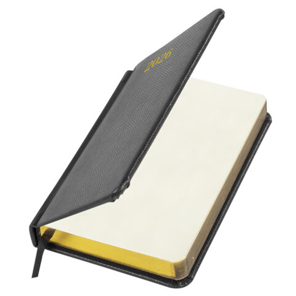 Ежедневник датированный "Iguana" на 2026 год, А6, 336 страниц, черный, срез золотой - 4