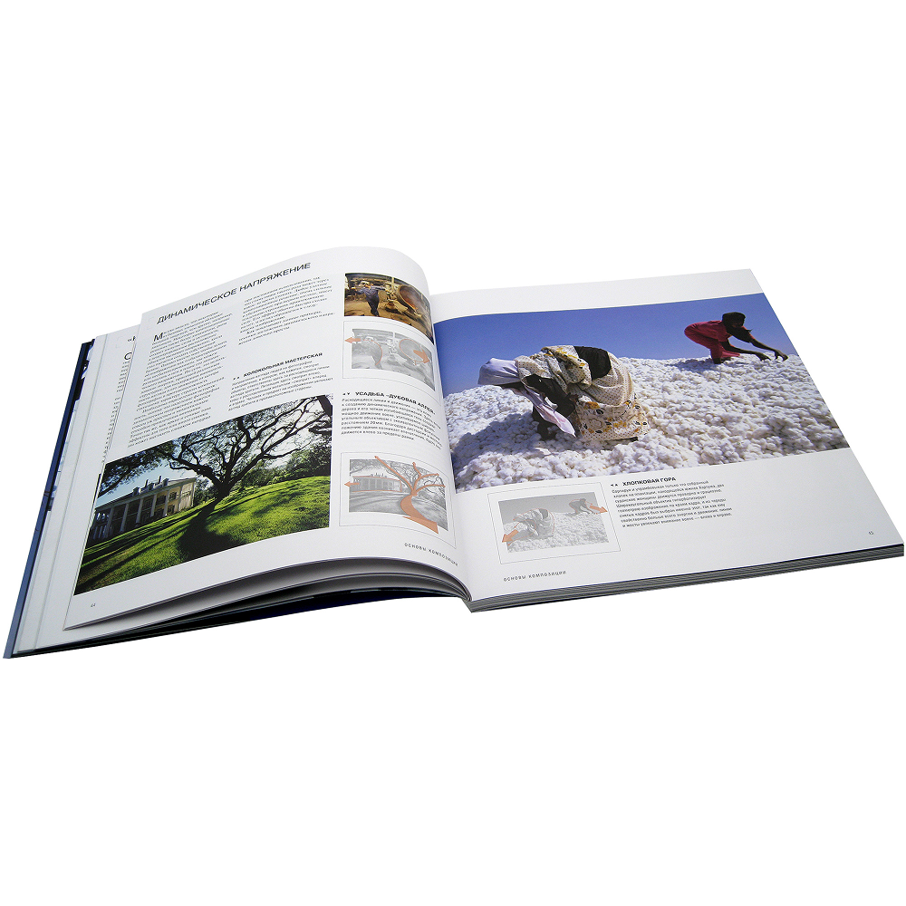 Книга "Дао цифровой фотографии. Искусство создавать удачные фотоснимки", Майкл Фриман - 10