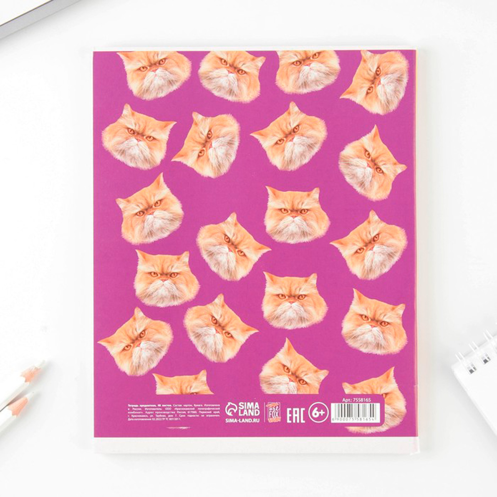 Тетрадь "Уведомления. Геометрия", А5, 48 листов, клетка, разноцветный - 3