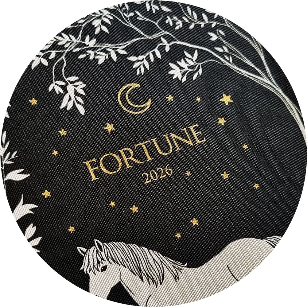 Ежедневник датированный "Fortune" на 2026 год, А5, черный - 3