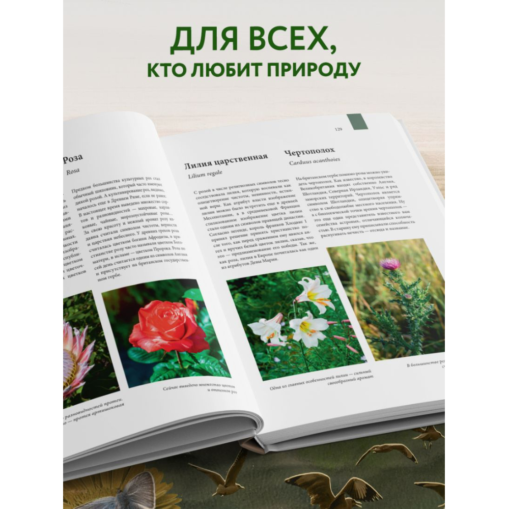 Книга "Атлас Земли, Животные, растения, грибы, бактерии, минералы и другие сокровища нашей планеты", Регина Михайлова