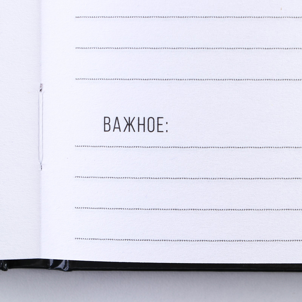 Ежедневник недатированный "Душнила", А5, 80 страниц, черный - 6