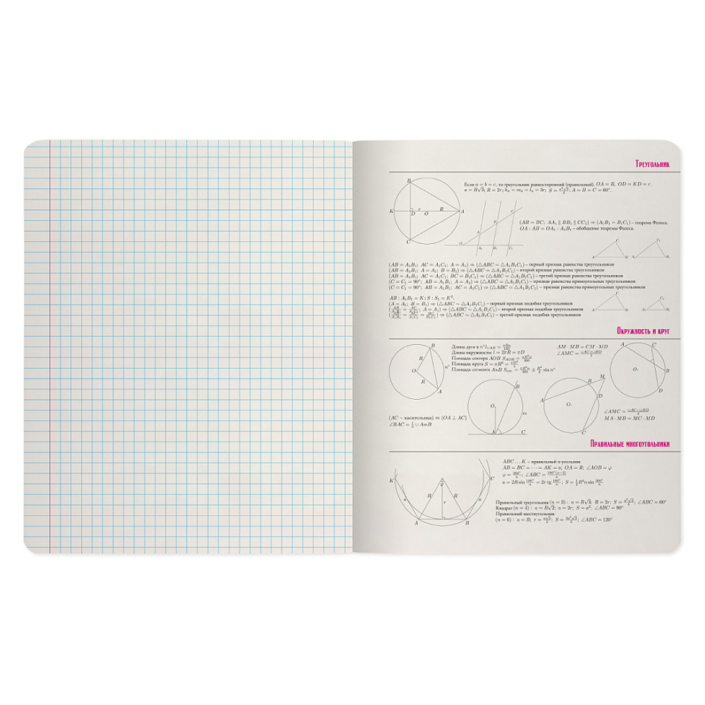 Тетрадь "Зверобудни. Геометрия", A5 48 листов, клетка, черный - 6