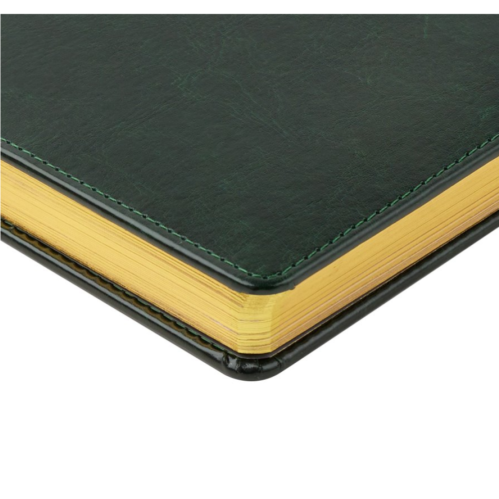 Ежедневник датированный А5 "Sidney Nebraska" 2026, зеленый, срез золотистый - 4