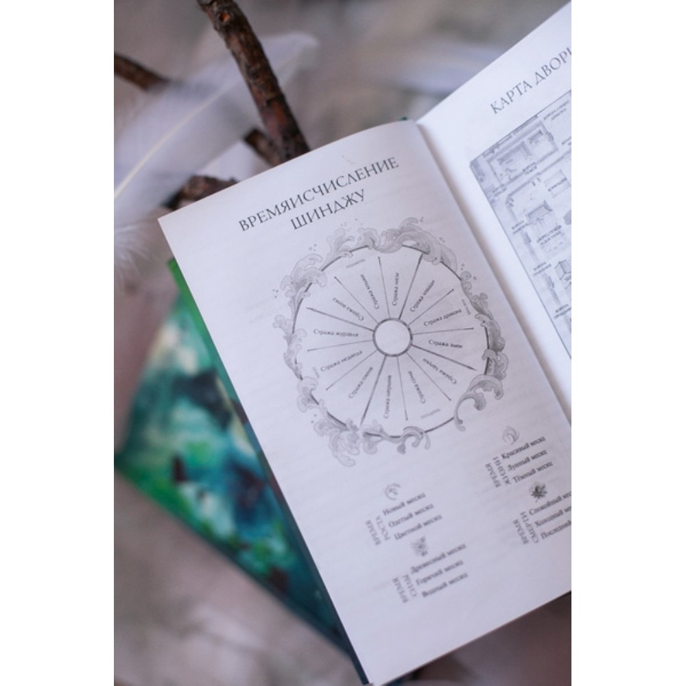 Книга "Киоко. Наследие дракона", Юлия Июльская - 4