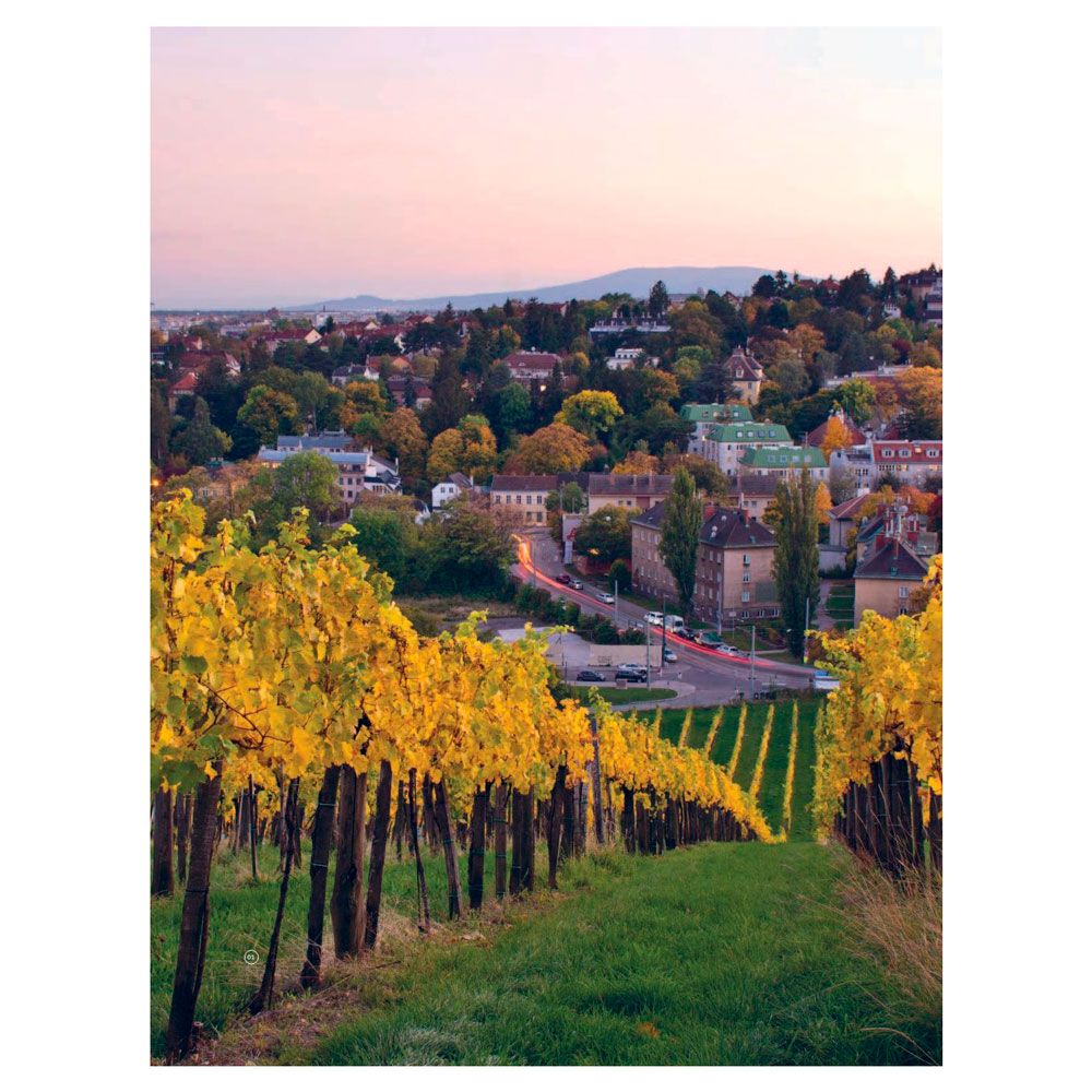 Книга "В погоне за вином. Винные туры по старому свету" - 7