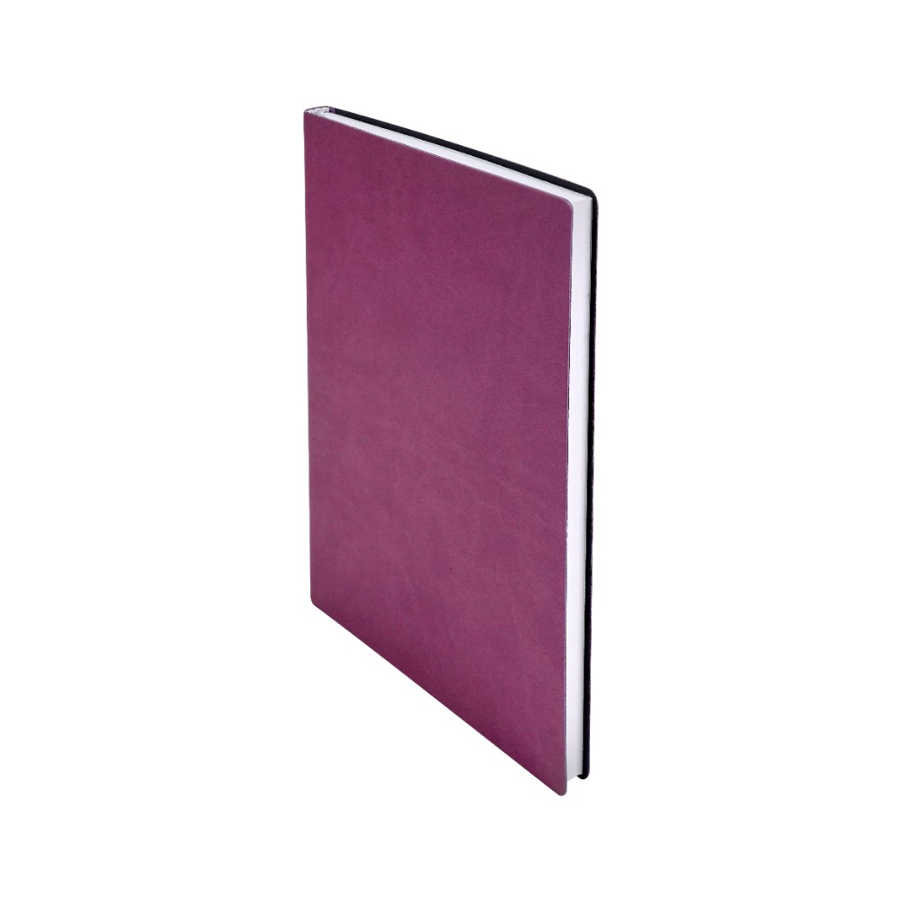 Ежедневник недатированный 