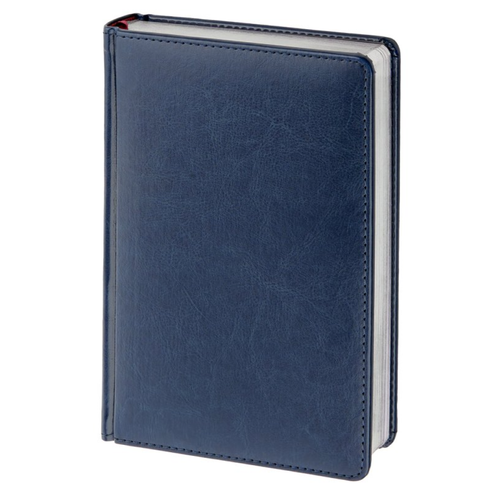 Ежедневник датированный А5 "Sidney Nebraska" 2026, синий, срез серебристый 