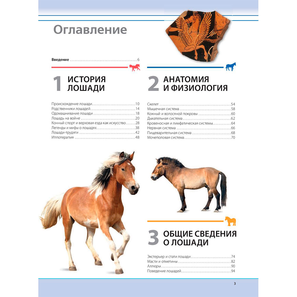Книга "Лошади. Самая полная иллюстрированная энциклопедия", Зимина Г.