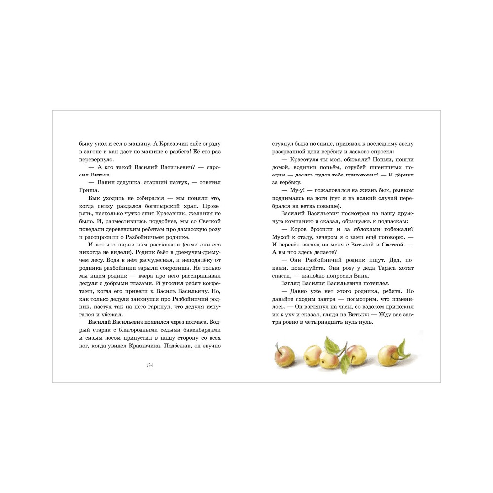 Книга "Деревня Гусиные Лапки. Три истории в одной книге", Андрей Снесарь - 7