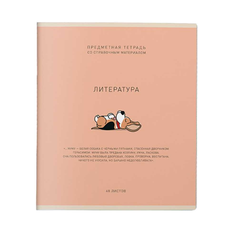 Тетрадь предметная "Ми-ни-ми. Литература", А5, 48 листов, линейка