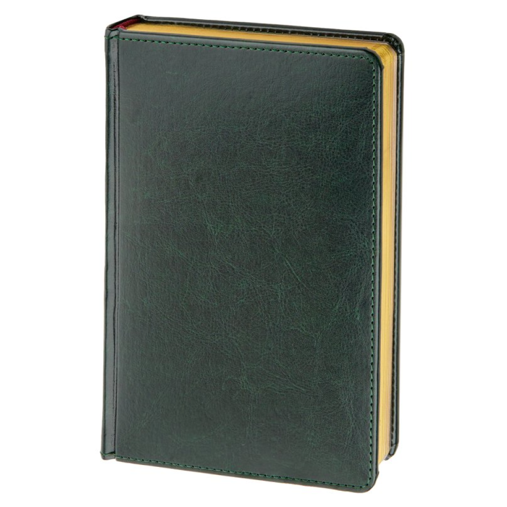 Ежедневник датированный А5 "Sidney Nebraska" 2026, зеленый, срез золотистый