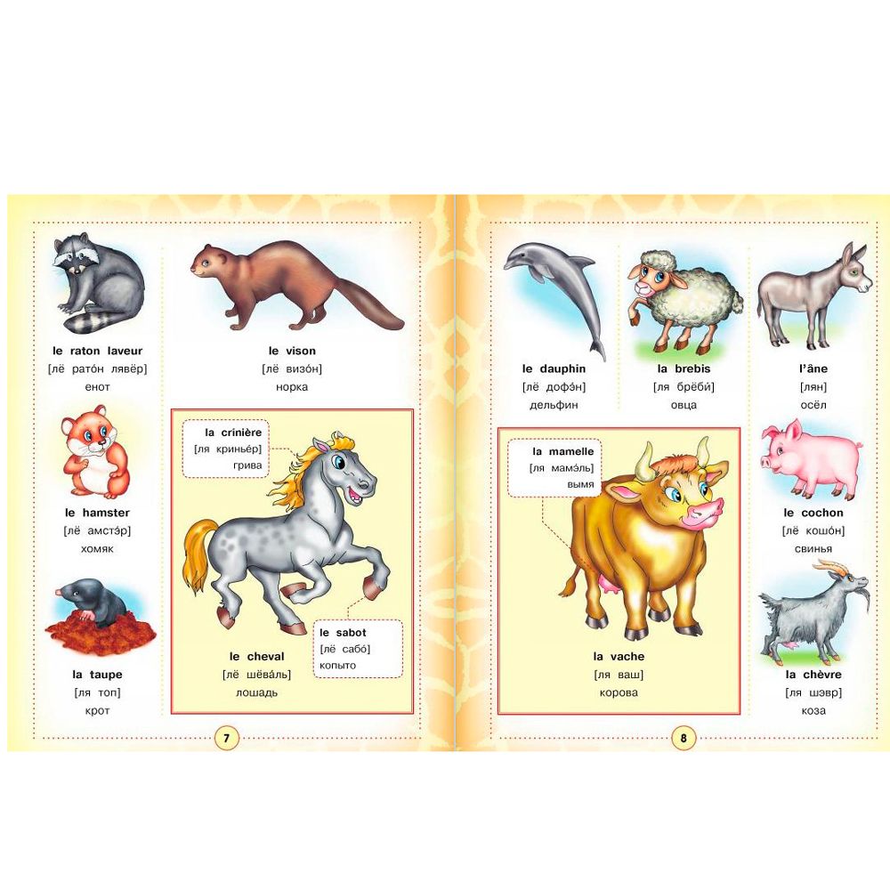 Книга "Французско-русский визуальный словарь для детей" - 5