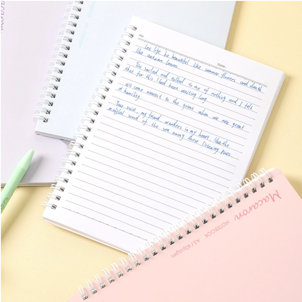 Блокнот "Macaron", A5, 60 листов, ассорти