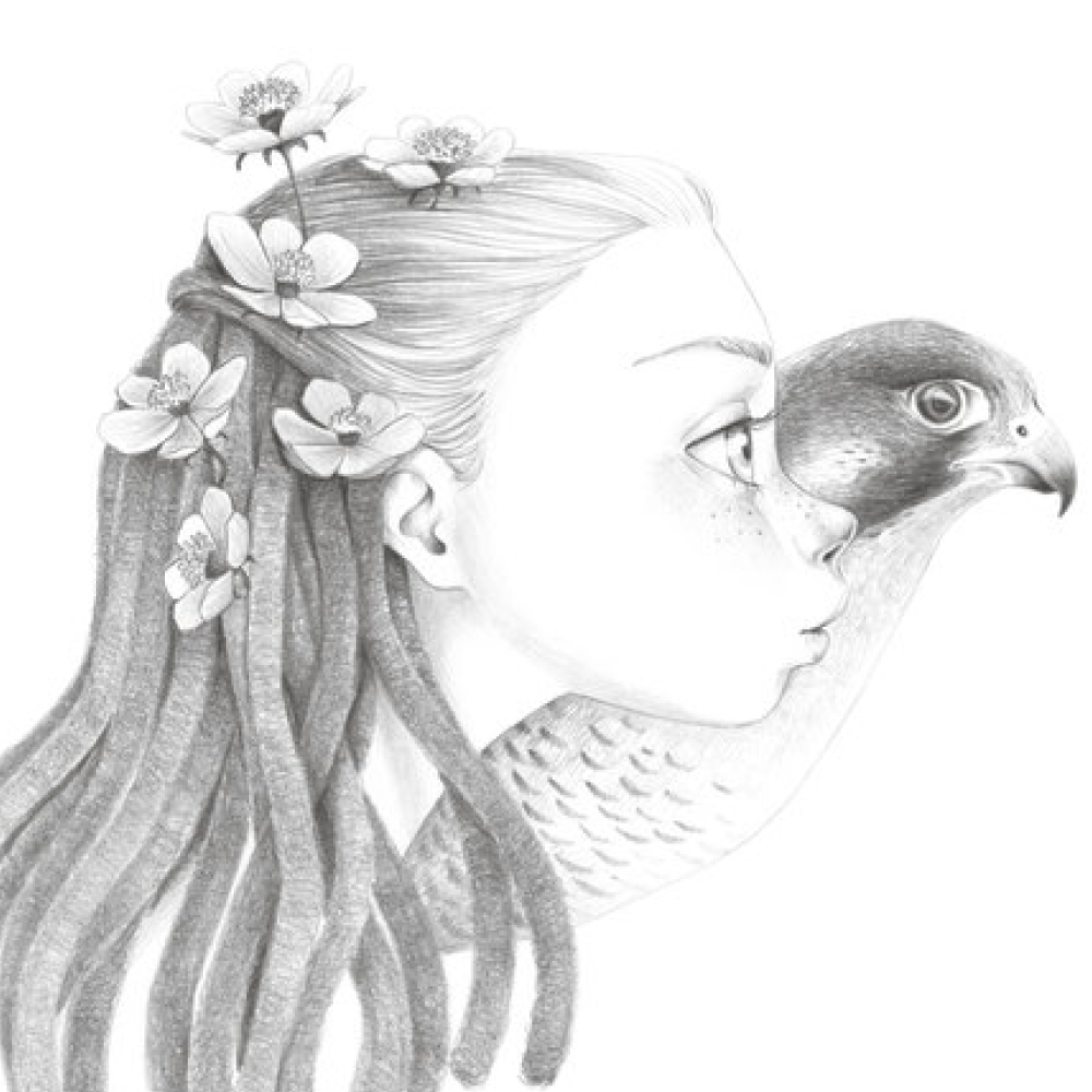 Раскраска на английском языке "Colouring book Wild 4", Emmanuelle Colin