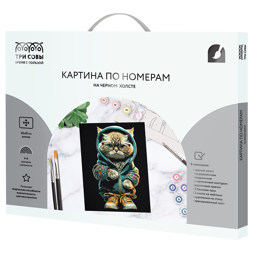Картина по номерам "Стильный кот"