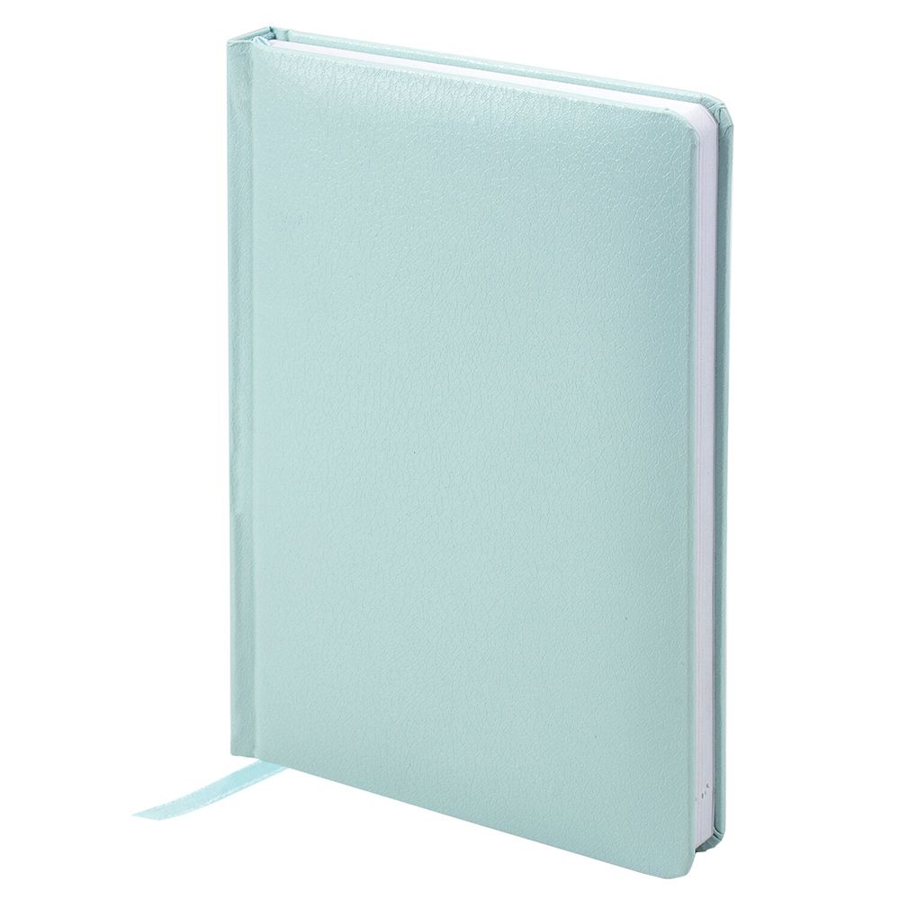 Ежедневник недатированный 