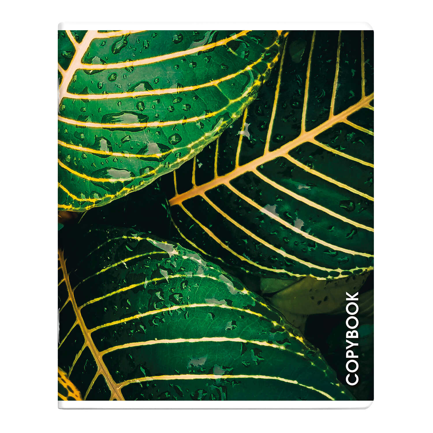 Тетрадь Феникс+ "Макросъемка" А5+, 96 листов, клетка, ассорти - 6