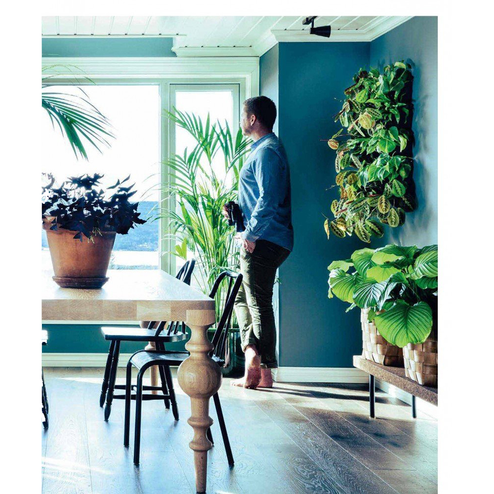 Книга "Urban Jungle. С любовью к растениям", Андерс Рёйнеберг, Эрик Шервен - 11