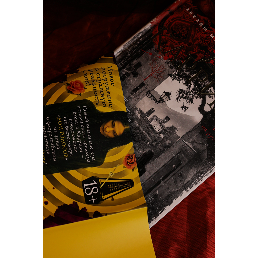 Книга "Дом молчания", Донато Карризи - 4