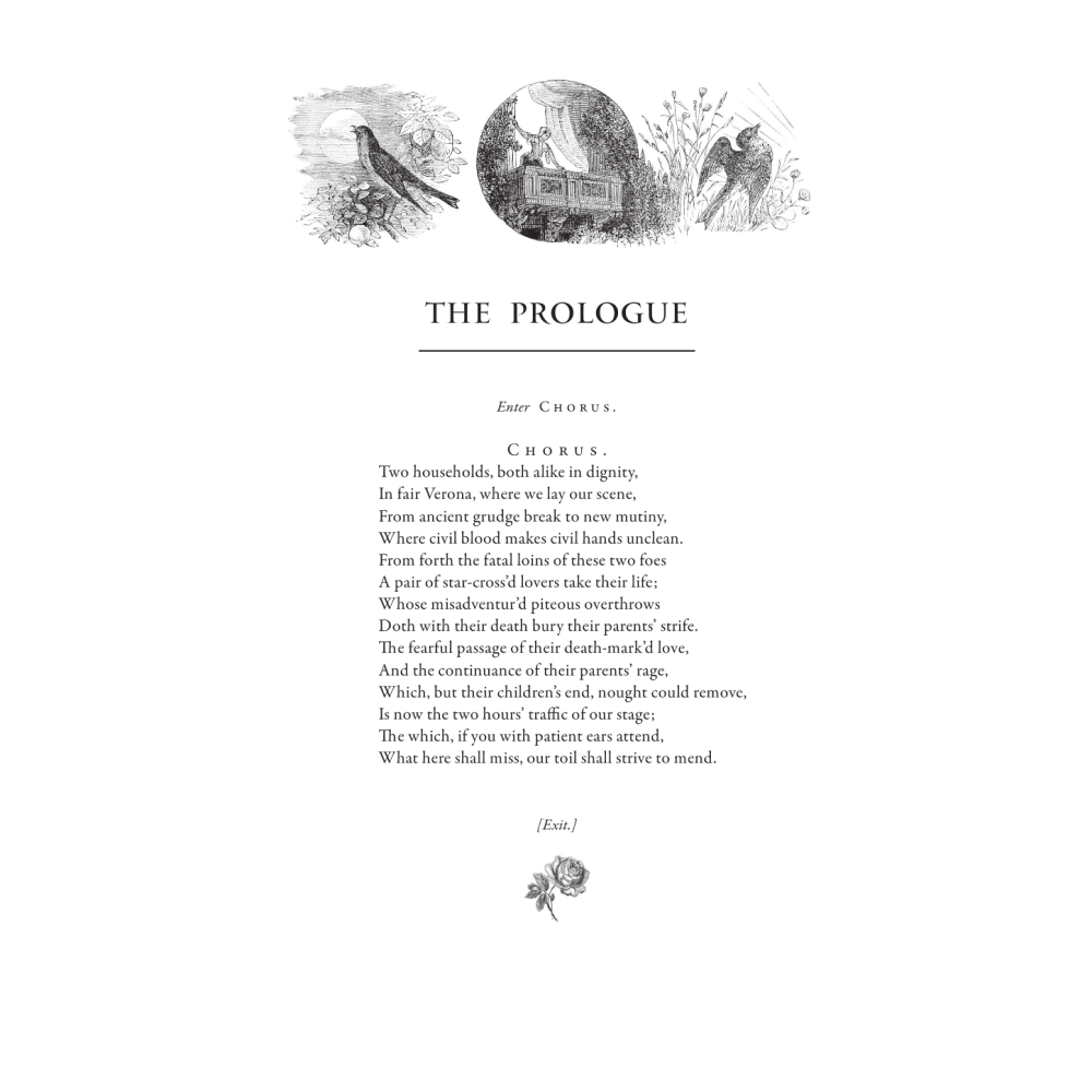 Книга на английском языке "Ромео и Джульетта = Romeo and Juliet", Уильям Шекспир - 6