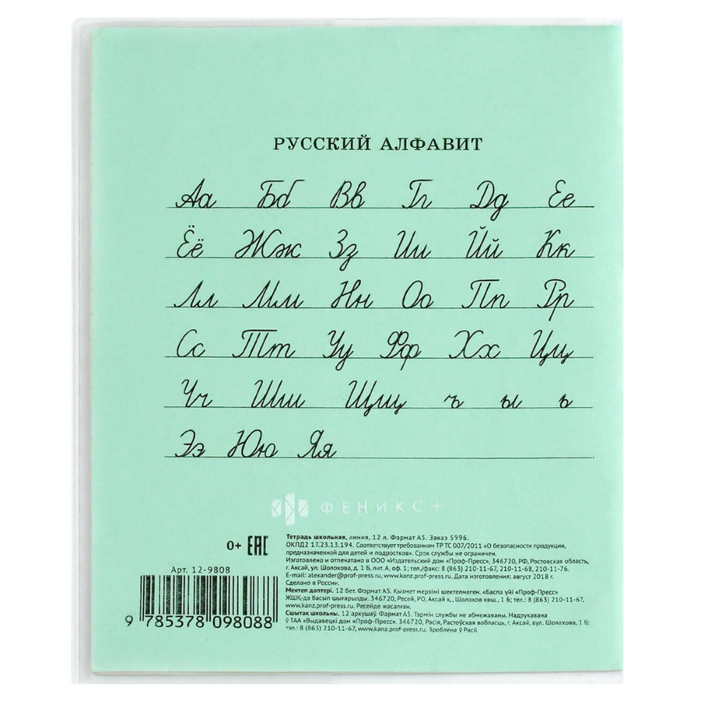 Обложка для тетрадей "Балерины", А5, 3 штуки - 12