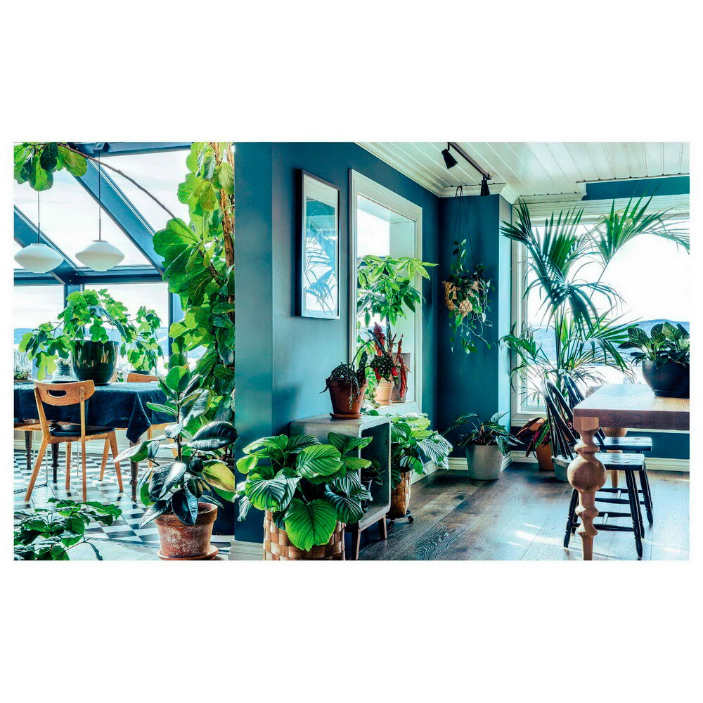 Книга "Urban Jungle. С любовью к растениям", Андерс Рёйнеберг, Эрик Шервен - 13