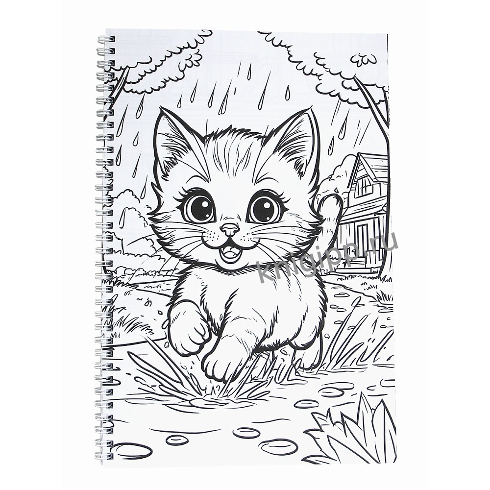 Раскраска "100 картинок. Котики"